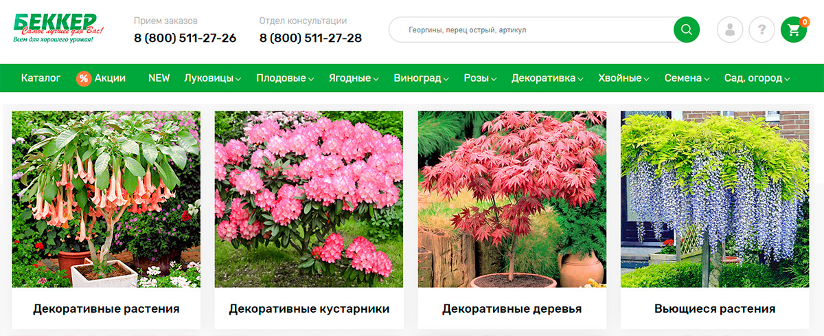 Беккер - онлайн магазин декоративных растений и плодовых деревьев с доставкой по россии