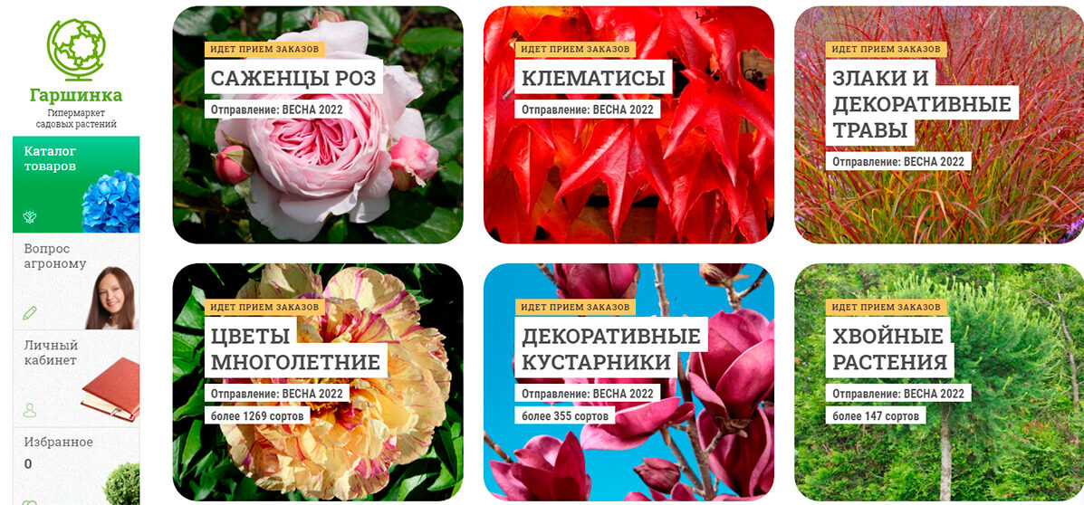 Гаршинка - онлайн маркет саженцев цветов, злаковых и декоративных растений