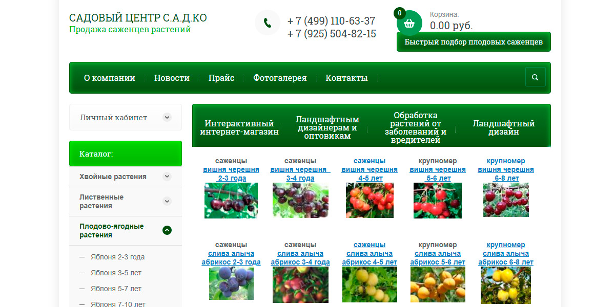садко - онлайн магазин саженцев вишни, черешни и яблонь с доставкой в города рф