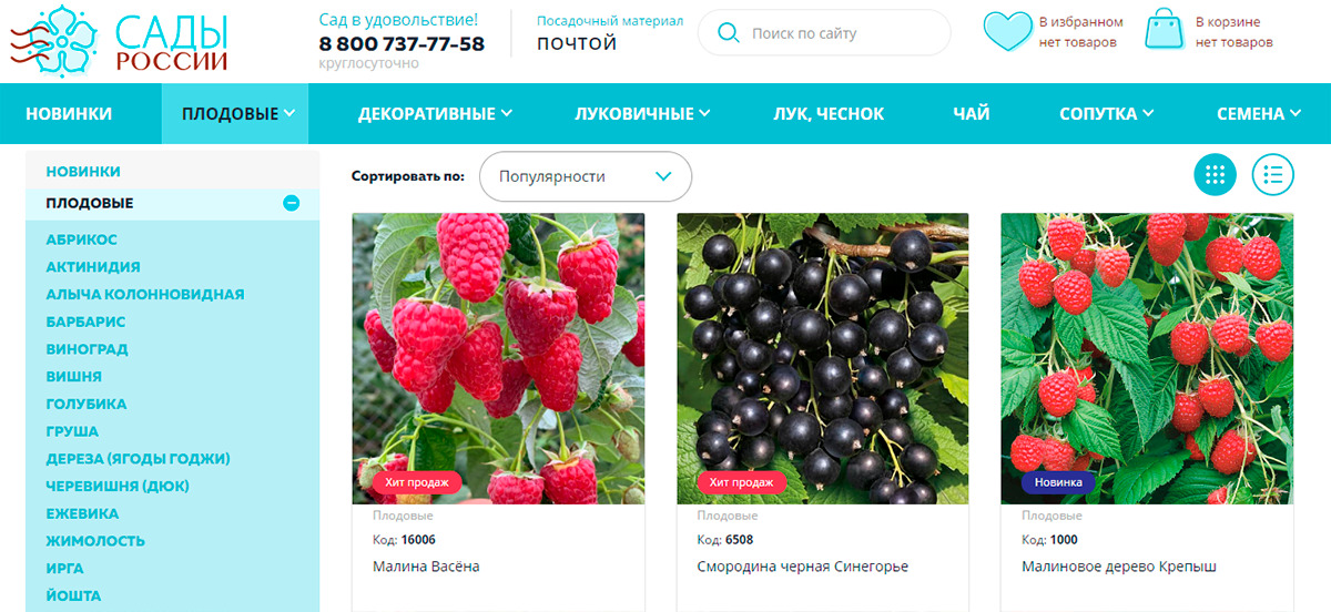 Сады России - интернет маркет предлагает плодовые и декоративные деревья с доставкой почтой